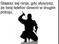 Ninja