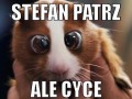 Ale cyce