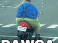 Dawca