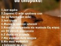 10 powodów, dla których świnka morska jest lepsza od chłopaka