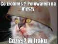 Polowałem na myszy