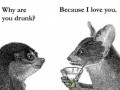 Why are you drunk