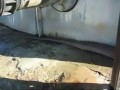 Największy znaleziony w historii martwy wąż
