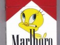Marlboro Kids