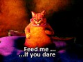 Feed me...