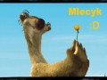 Mlecyk