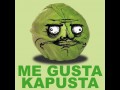 Kapusta