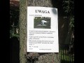 Ktokolwiek widział, ktokolwiek wie