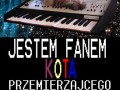 Kot w kosmosie