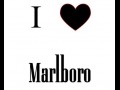 I love Marlboro