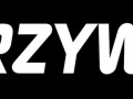 Krzywo