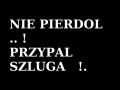 Przypal szluga