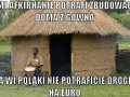 Doma z gówna