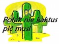 Polak nie kaktus