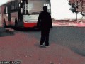 Troll Bus