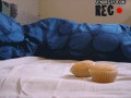 Znikające muffiny