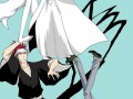 Bleach