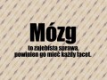 Mózg