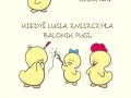 Kaczka Pusia