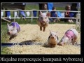 Start kampanii wyborczej