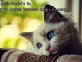 O co chodzi w życiu...
