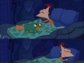 Perry!