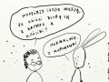 Skąd się biorą króliki