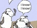I know i know