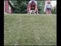 Dog slide