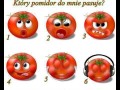 Który pomidor pasuje do Ciebie...