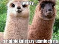 Najpiękniejsze dni to takie w których uśmiech nie znika z twarzy...