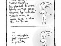 Komplementy