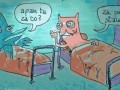 Pan tu za co