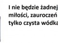Tylko czysta wódka
