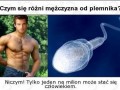 Czym się różni mężczyzna od plemnika