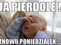 Znowu poniedziałek