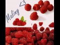 Maliny