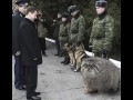 Tymczasem w Rosyjskim wojsku