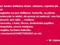 Motyl