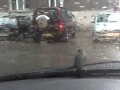 Wróbel przyczepiony do wycieraczki