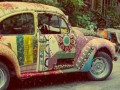 Garbus