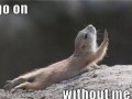 Go on without me