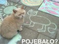 Pojebało!