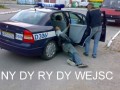 Ny dy ry dy wejść