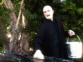 Voldemort