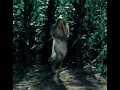 Gaga