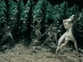 Run Run Gaga Run
