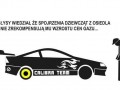 Calibra