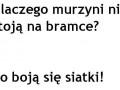 Dlaczego Murzyni nie stoją na bramce...