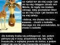 Król Julian i Melman